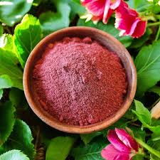 Masque capillaire réparateur à l’hibiscus